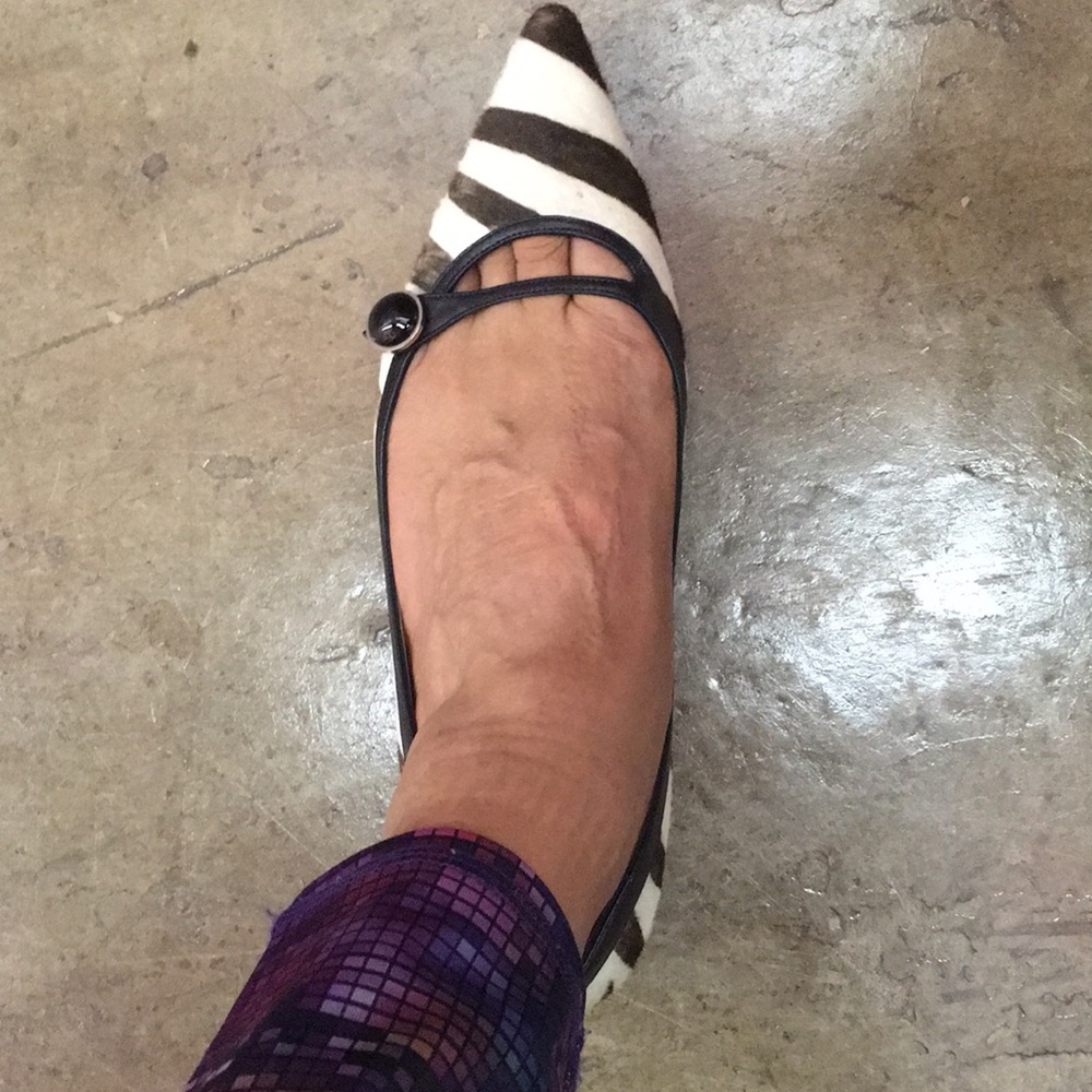Zebra Jimmy Choo Shoe - Picture 5 of 5